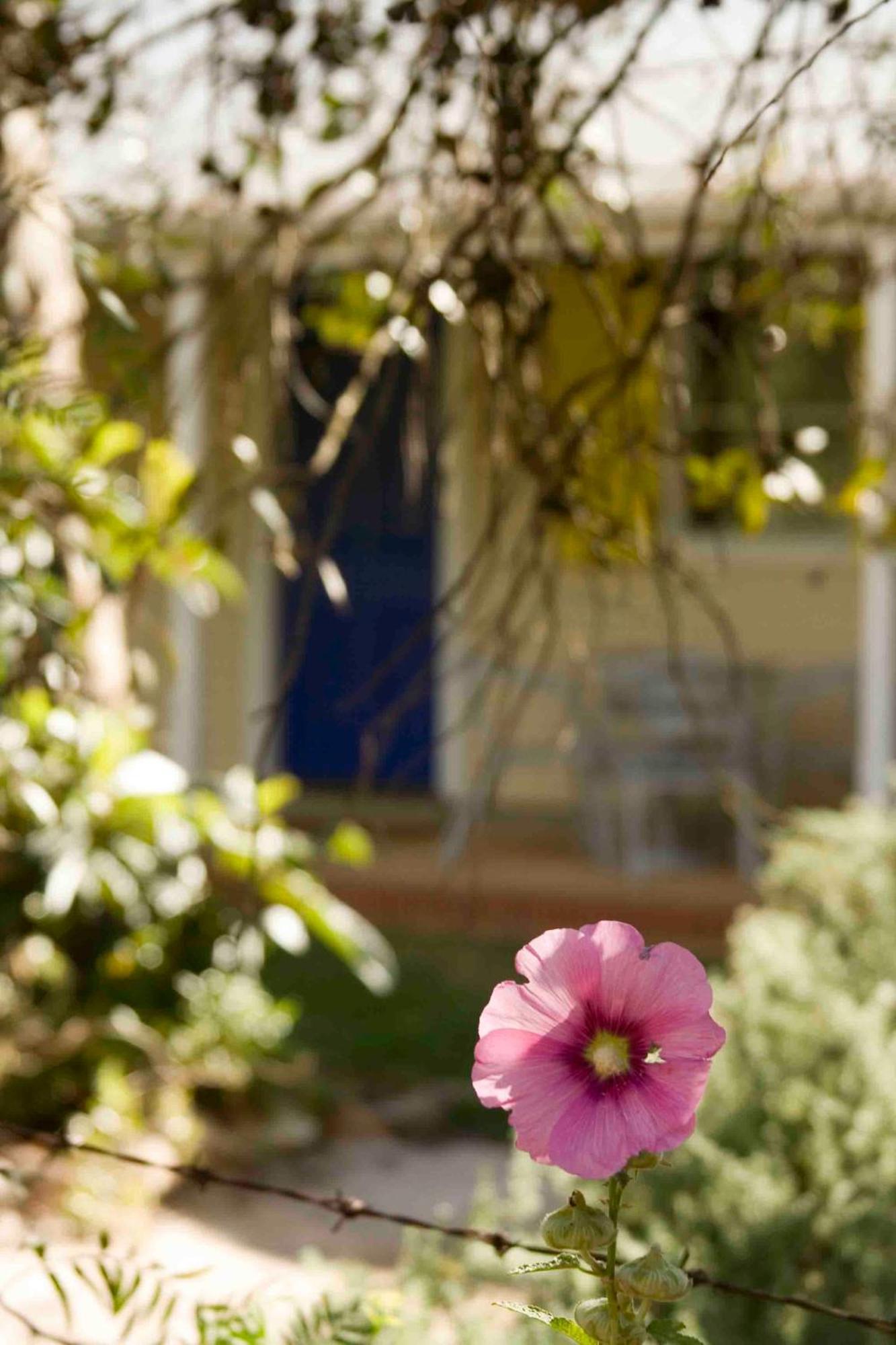 Amy'S House Bed & Breakfast Auburn Luaran gambar