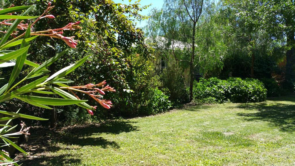 Amy'S House Bed & Breakfast Auburn Luaran gambar