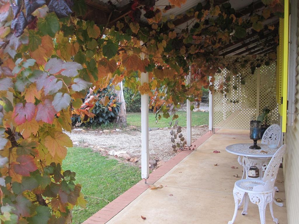 Amy'S House Bed & Breakfast Auburn Luaran gambar