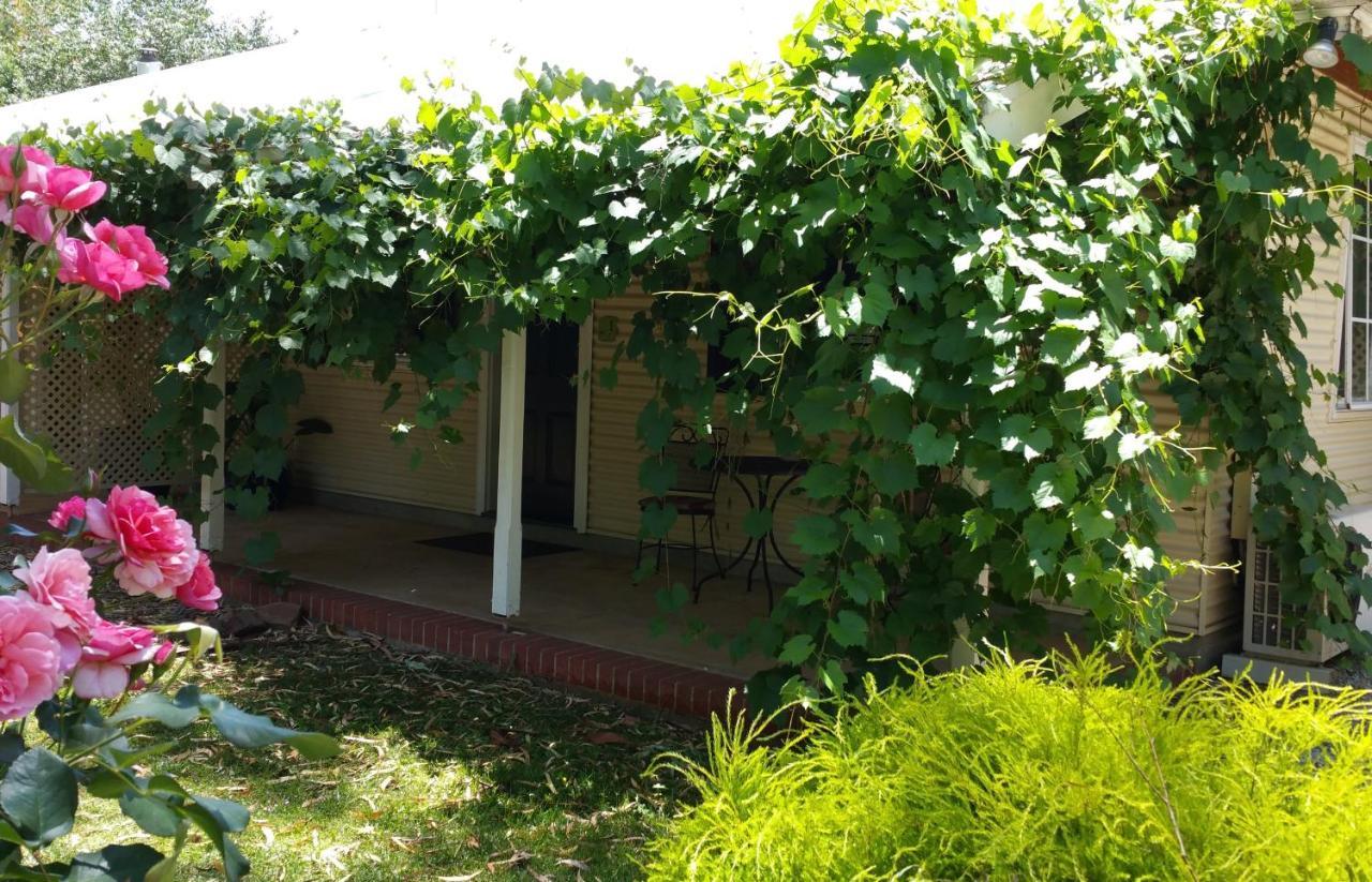 Amy'S House Bed & Breakfast Auburn Luaran gambar